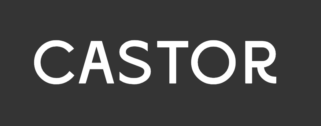 Logo CASTOR